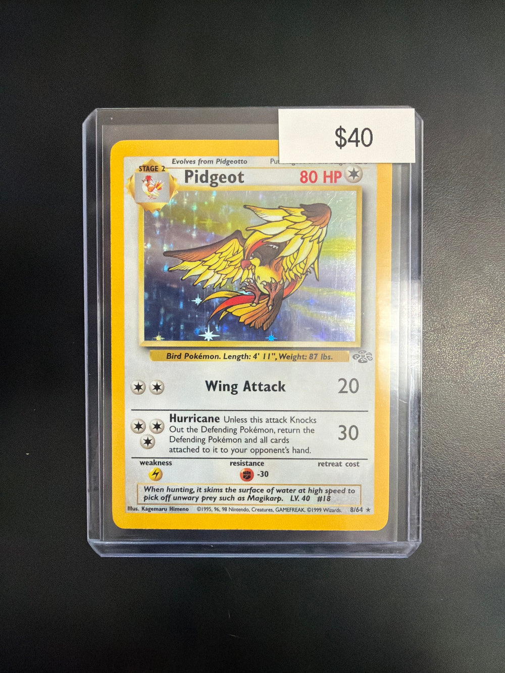 Pokemon Pidgeot Jungle #8/64 NM