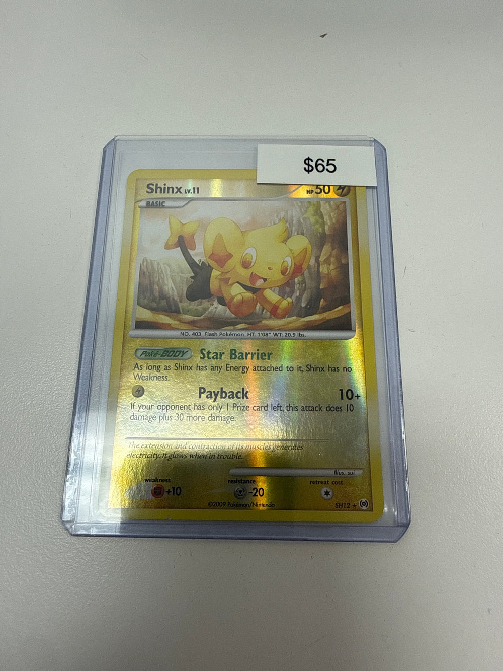 Pokemon Shiny Shinx #sh12
