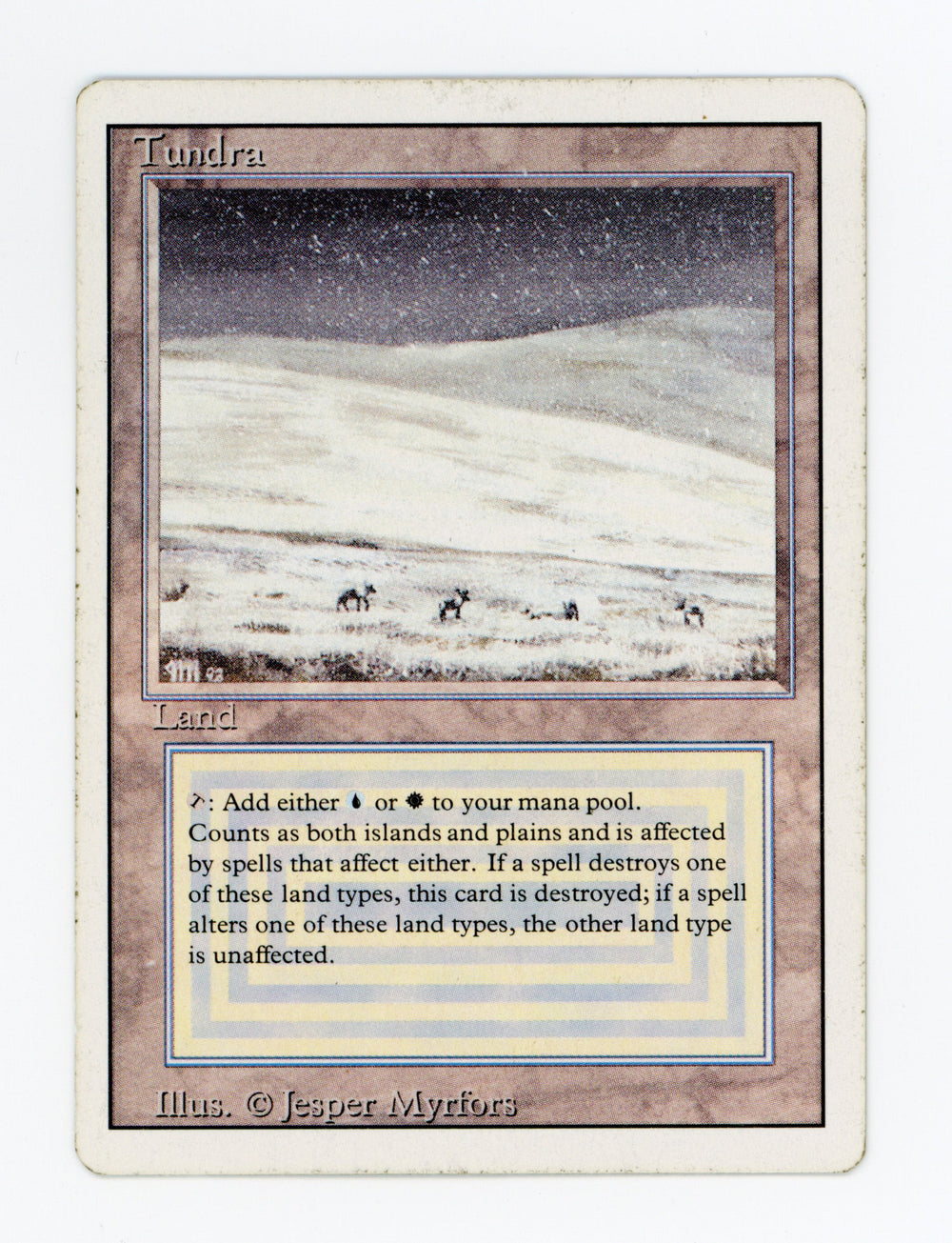 Tundra — ID 17406