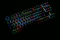 MK Disco Black RGB LED TKL Double Shot PBT Mechanical Keyboard