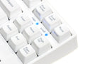 Filco Majestouch 2 HAKUA TKL Mechanical Keyboard