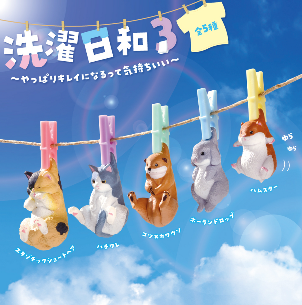 Laundry Day 3 Blind Box