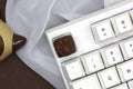 Varmilo Siamese Kitty Paw ABS / Silicon Keycap