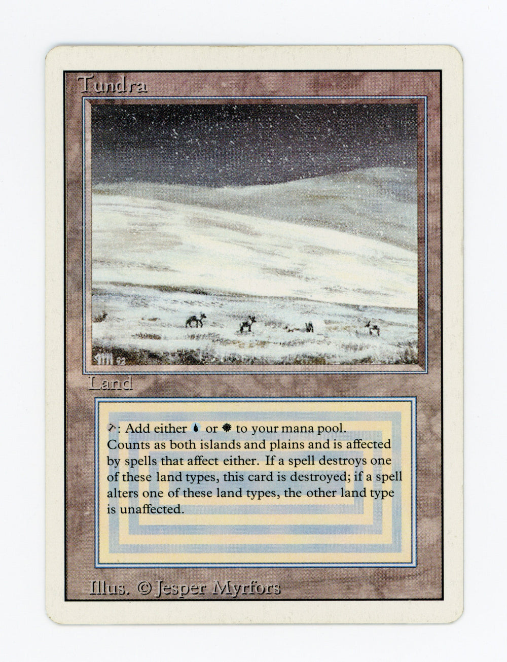 Tundra — ID 17093
