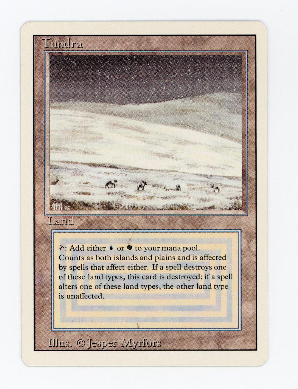 Tundra — ID 17407