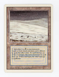 Tundra — ID 17407