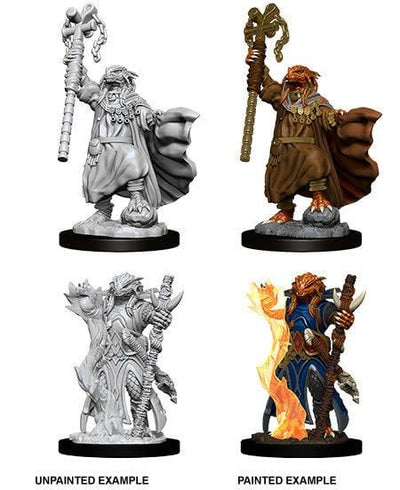 Nolzur's Marvelous Miniatures: Dragonborn Sorcerer Female