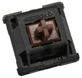 Greetech Brown 50g Tactile Switch