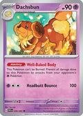 Dachsbun ' Sv Paldean Fates