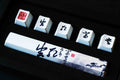 Traitors Providence 6 Key OEM Profile Dye Sub PBT Keycap Set