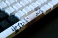 Traitors Providence 6 Key OEM Profile Dye Sub PBT Keycap Set