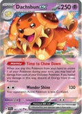 Dachsbun Ex 67 Sv07 Stellar Crown Holofoil