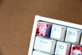 Traitors Sakura Shiro 6 Key OEM Profile Dye Sub Keycap Set