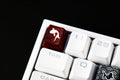 Traitors Sakasama Dark 6 Key OEM Profile Dye Sub Keycap Set