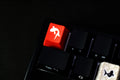 Traitors Sakasama Bright 6 Key OEM Profile Dye Sub Keycap Set