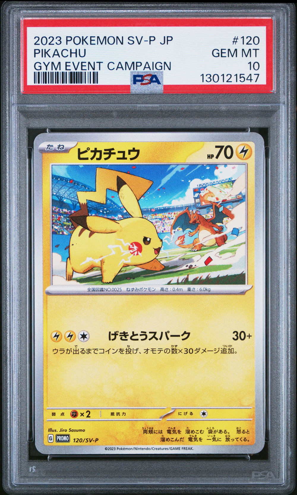 Pikachu Gym Event Campaign PSA 10 2023 Pokemon Japanese Sv-P Promo #120