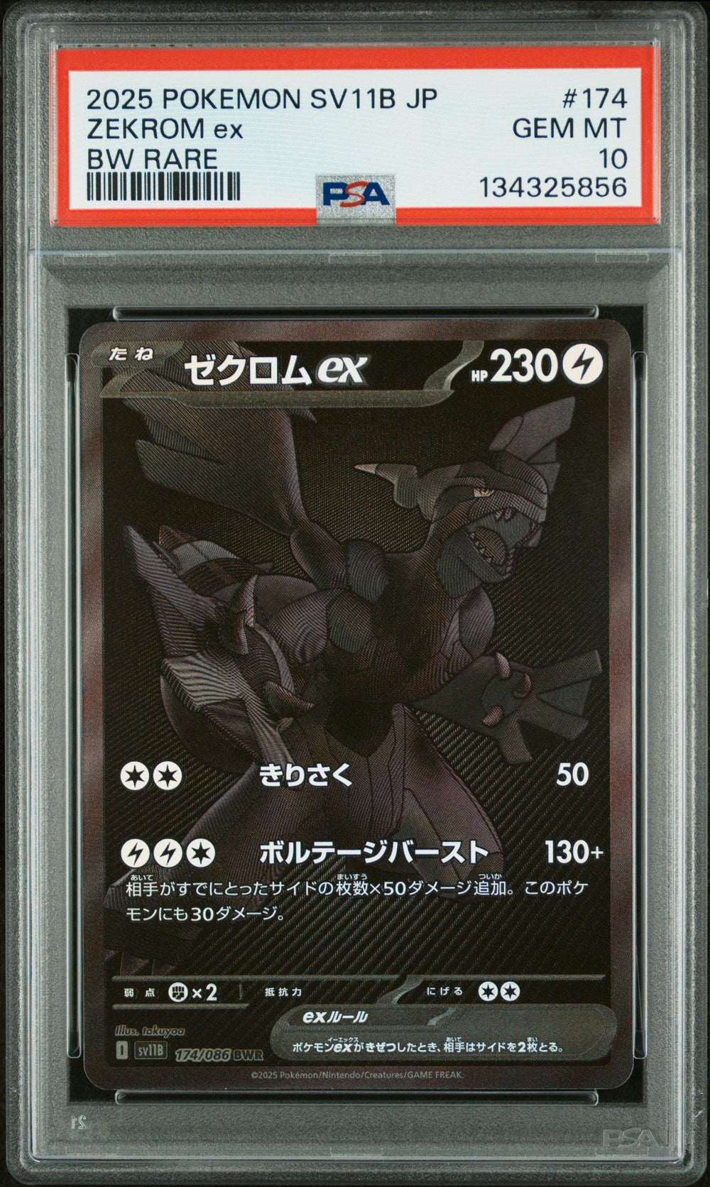 Zekrom ex PSA 10 2025 Pokemon Japanese Sv11b Black Bolt #174