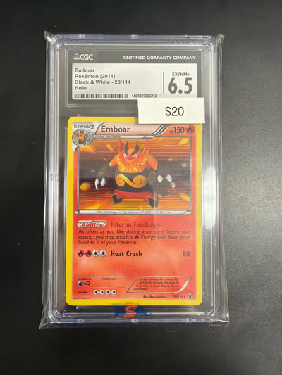 Pokemon Black & White Embroar #20 CGC 6.5