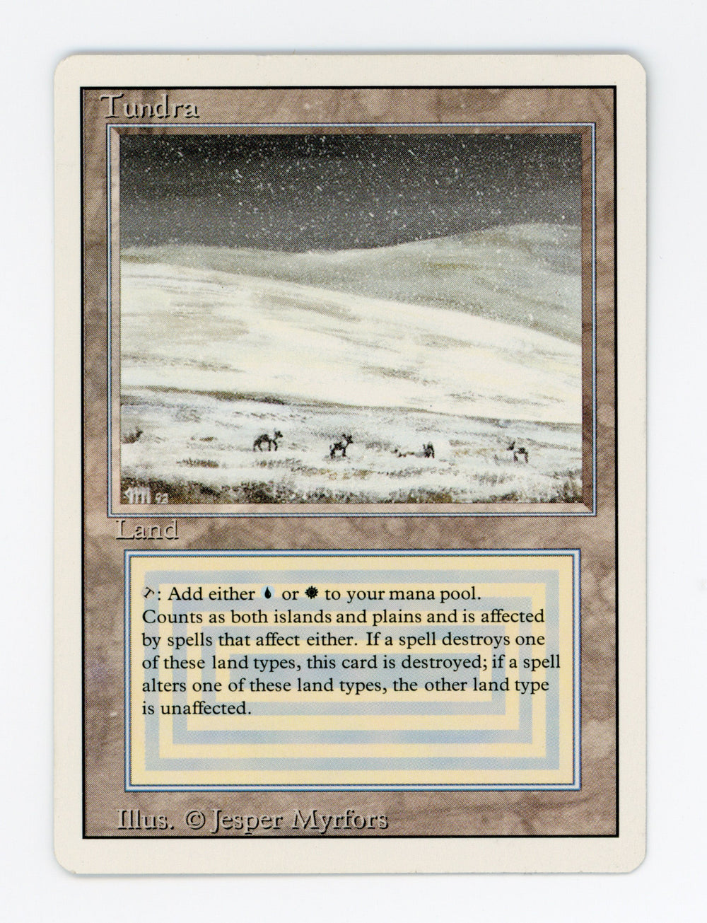 Tundra — ID 17528