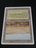 Savannah — Damaged — ID 17387