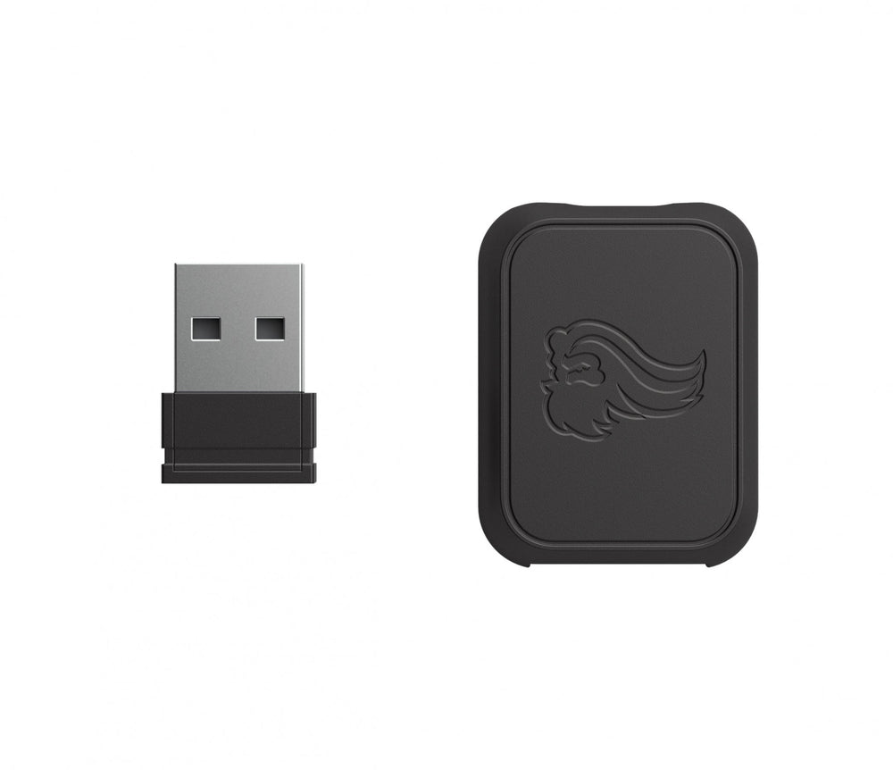Glorious PC Wireless Mouse V1 Dongle Kit Matte Black