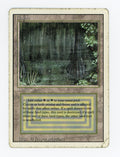 Bayou — Damaged — ID 17081