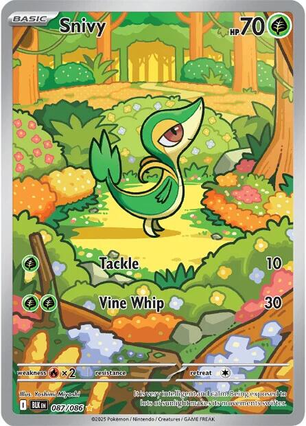 Snivy - 087/086 - 087/086 - (SV: Black Bolt)