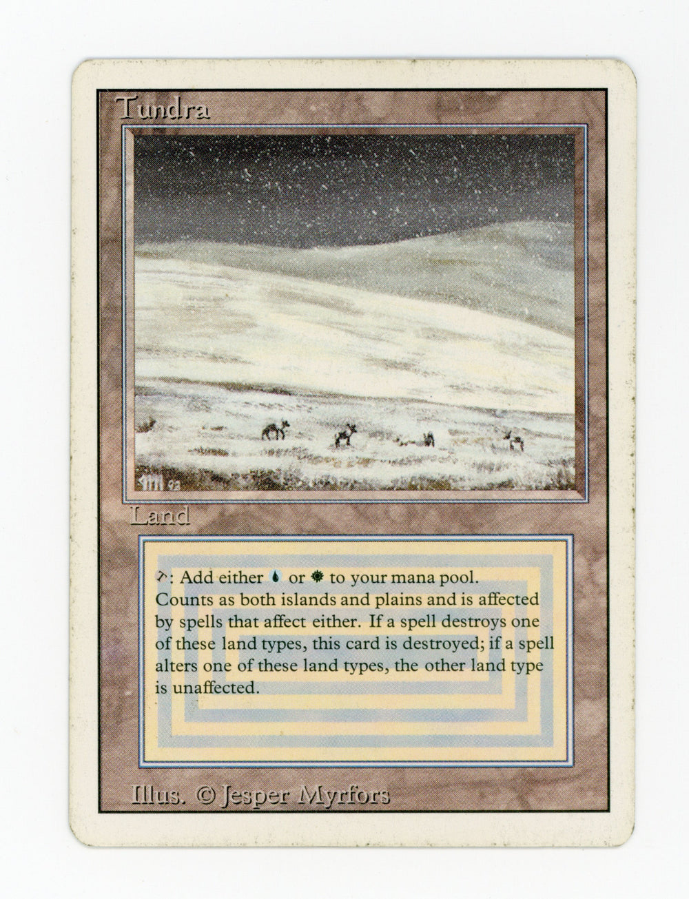 Tundra — ID 17626