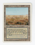 Scrubland — ID 17611