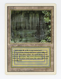 Bayou — ID 17799