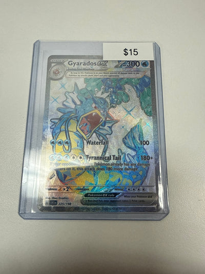 Pokemon Gyarados Ex #225/198