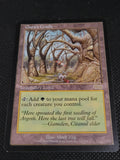 Gaea's Cradle — ID 17356