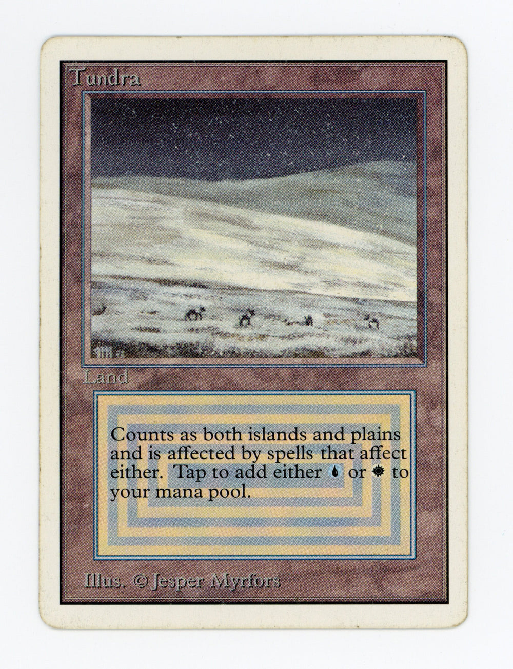 Tundra — ID 17629
