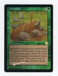 Food Chain — Damaged|Foil — ID 17310