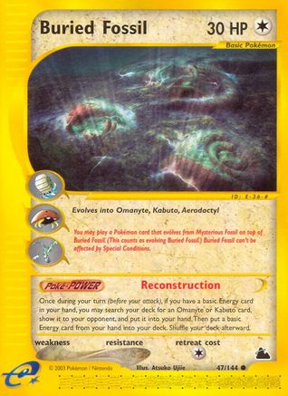 Buried Fossil (47/144) - Skyridge Reverse Holofoil