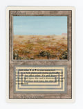 Scrubland — ID 17394