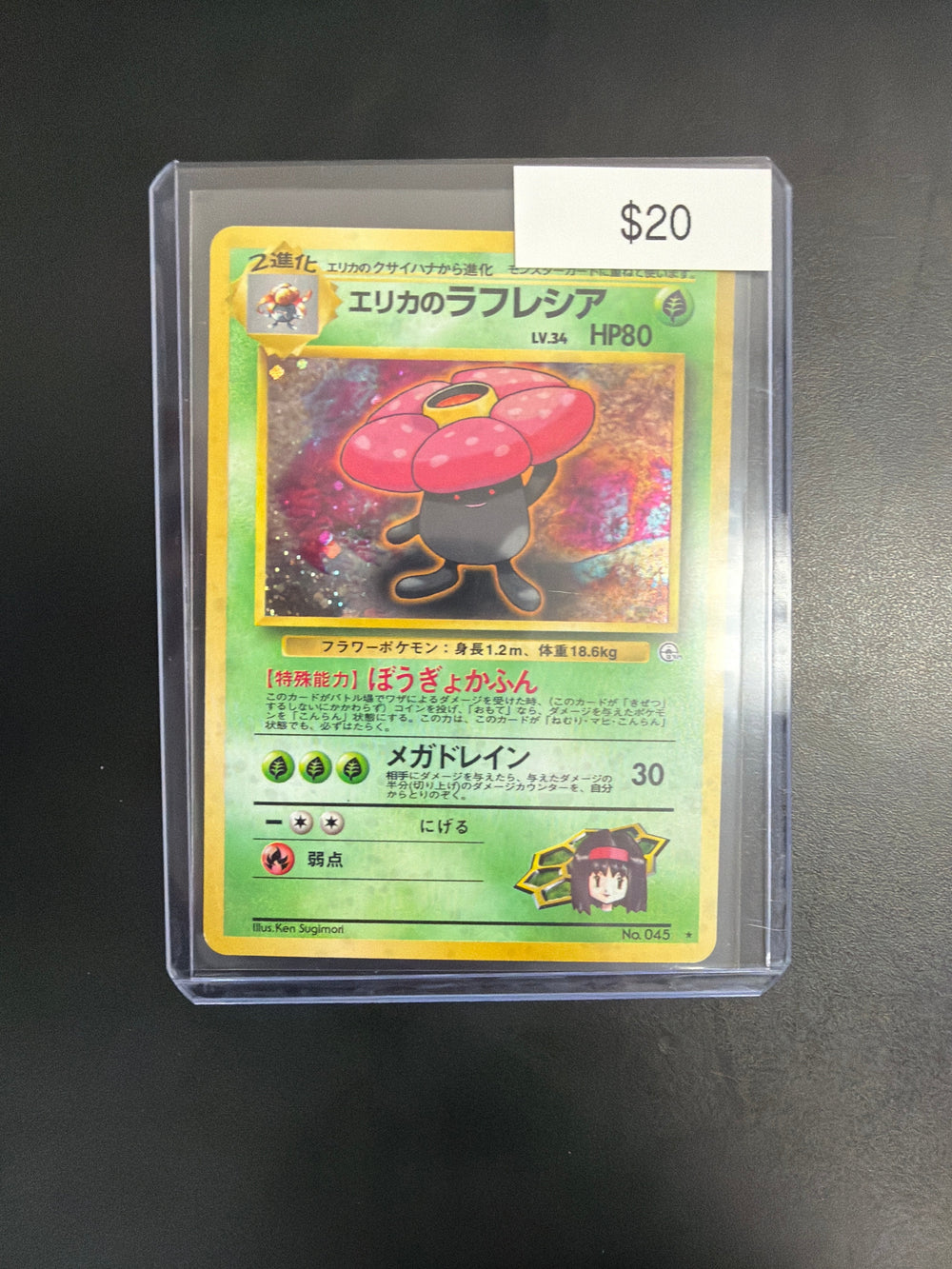 Pokemon Japanese Gym #045