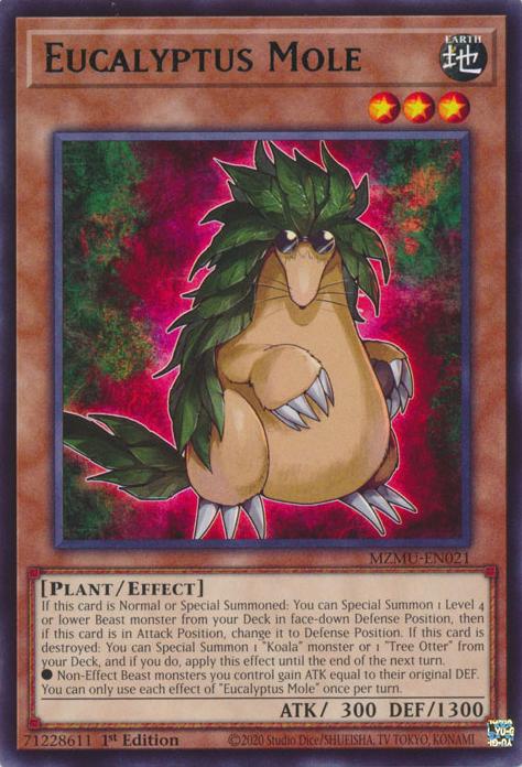 Eucalyptus Mole - MZMU-EN021 - Rare - 1st Edition