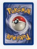 Venusaur — Rare|Shadowless|Holo — ID 16491