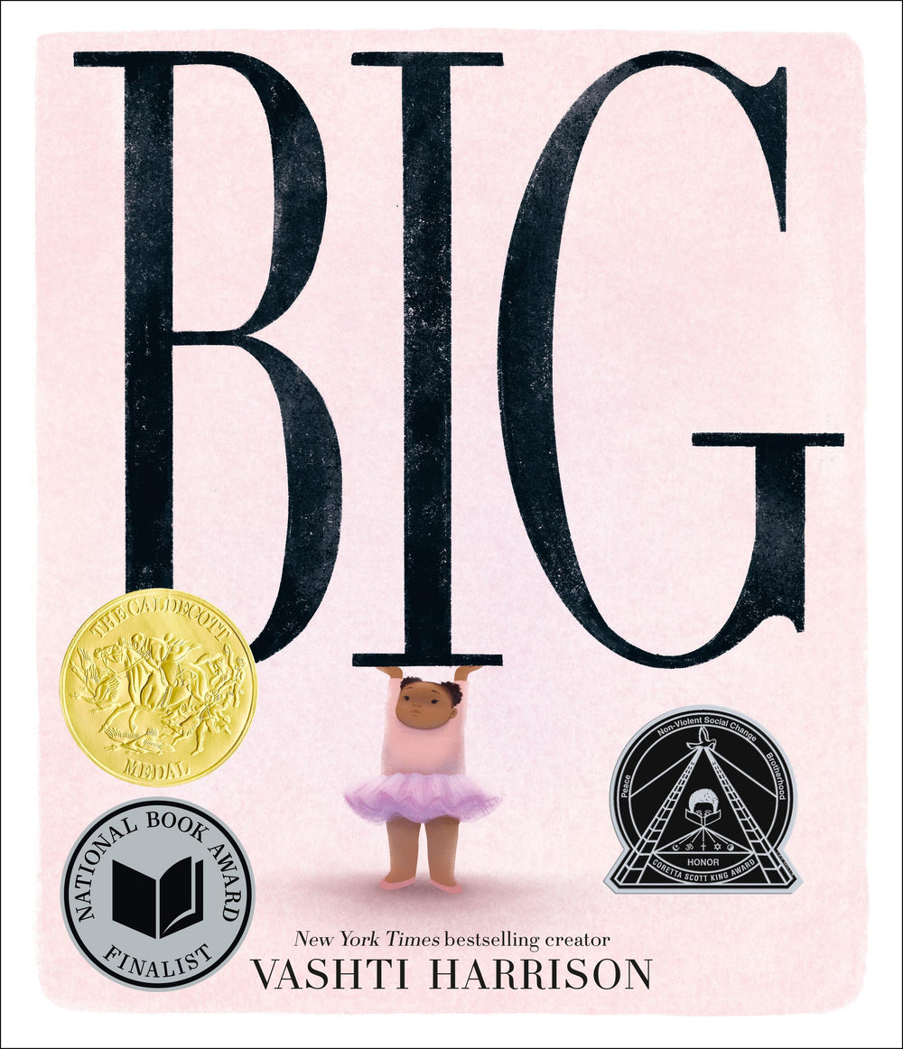 Big Picture Book