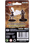 Dungeons & Dragons: Nolzur's Marvelous Unpainted Miniatures - W05 Aasimar Female Paladin