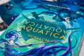 Aquatica Duellum