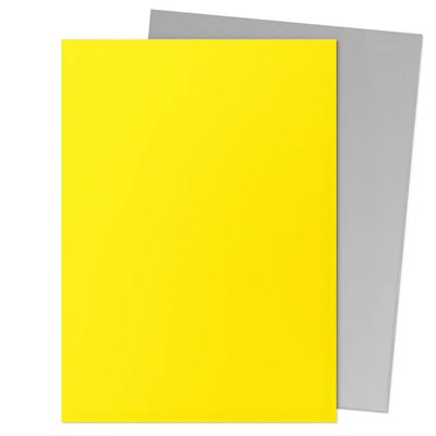 Dragon Shield Matte Yellow & Silver 100 Sleeves
