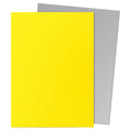 Dragon Shield: Dual Matte Sleeves - Yellow & Silver (100ct)