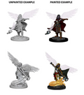 Dungeons & Dragons: Nolzur's Marvelous Unpainted Miniatures - W04 Aasimar Female Wizard
