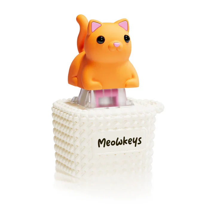 Meowkey Orange
