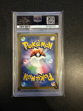 Pokemon: Pikachu ex - Special Art Rare - Japanese