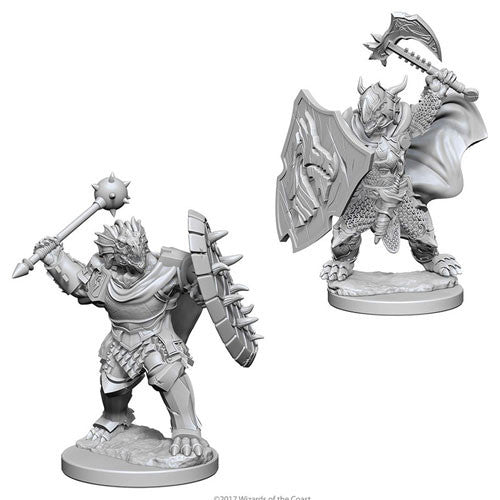 Dungeons & Dragons: Nolzur's Marvelous Unpainted Miniatures - W04 Dragonborn Male Paladin