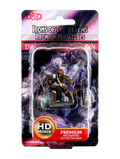 Dungeons & Dragons: Icons of the Realms Premium Figures W02 Dragonborn Female Paladin