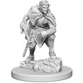Dungeons & Dragons: Nolzur's Marvelous Unpainted Miniatures - W04 Drow
